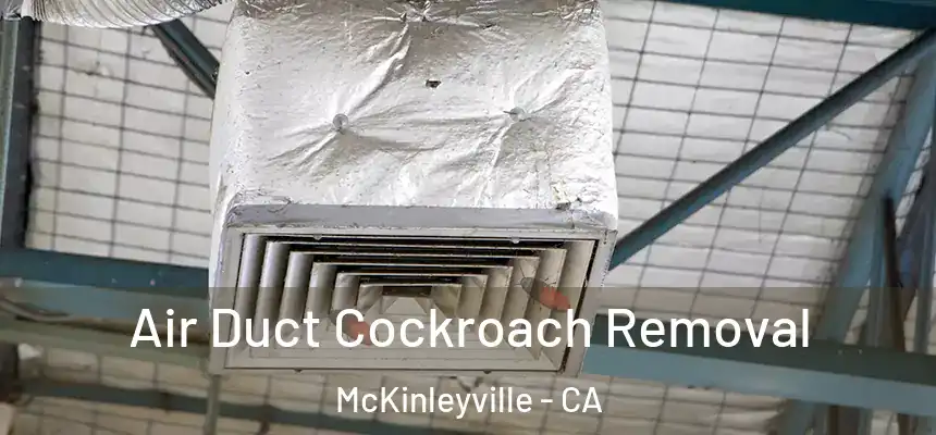  Air Duct Cockroach Removal McKinleyville - CA
