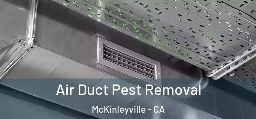 Air Duct Pest Removal McKinleyville - CA