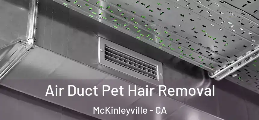  Air Duct Pet Hair Removal McKinleyville - CA