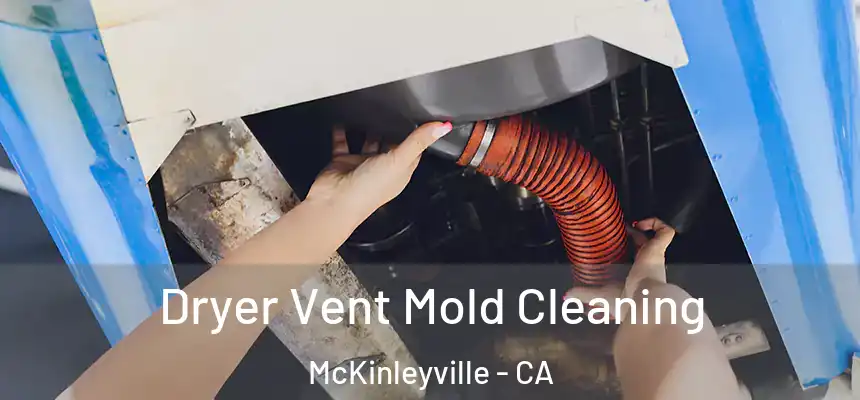Dryer Vent Mold Cleaning McKinleyville - CA