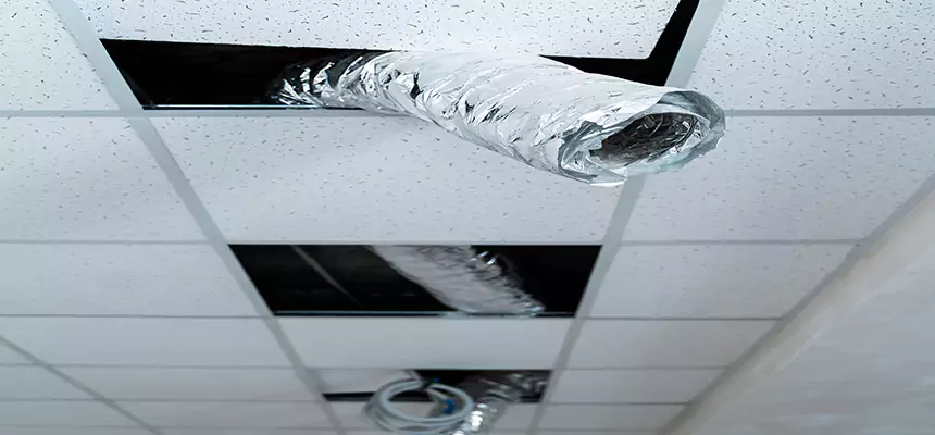 Our Air Duct Pet Hair Removal Services in McKinleyville, CA