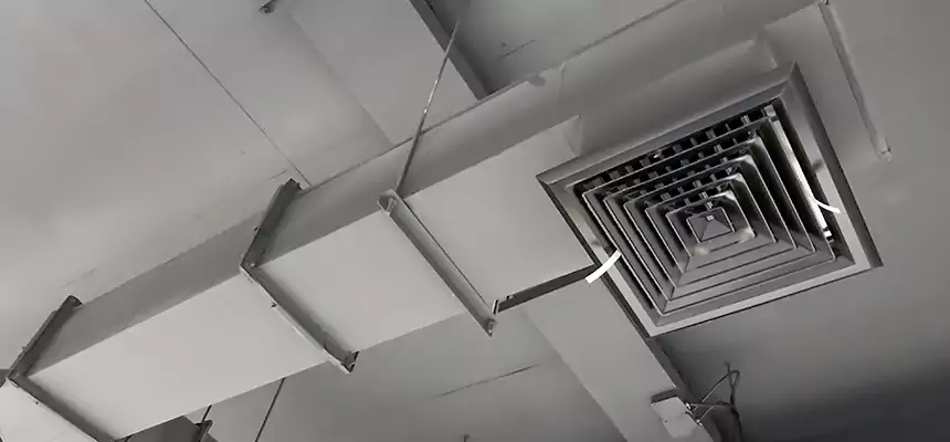 Our Rodent Droppings In Vents Services in McKinleyville, CA