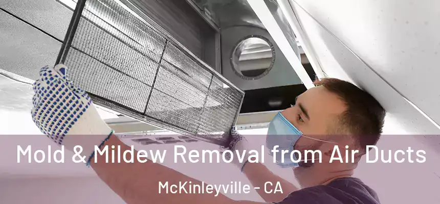 Mold & Mildew Removal from Air Ducts McKinleyville - CA