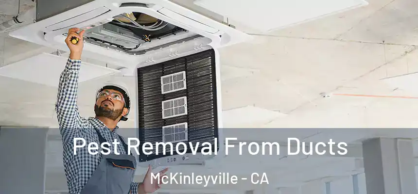 Pest Removal From Ducts McKinleyville - CA