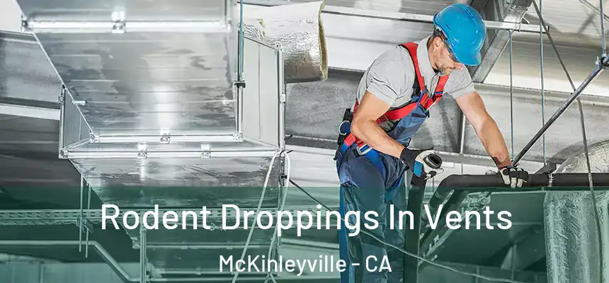 Rodent Droppings In Vents McKinleyville - CA