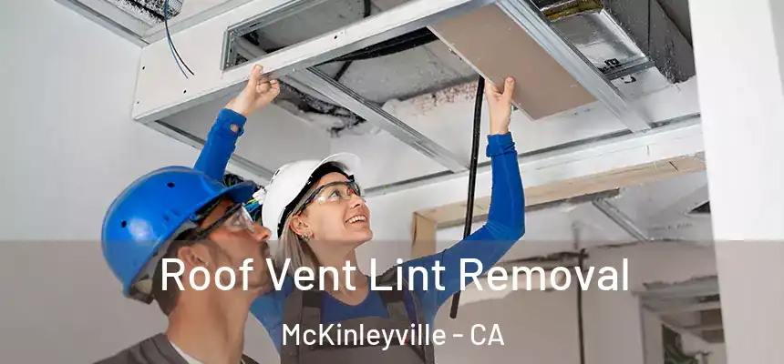 Roof Vent Lint Removal McKinleyville - CA
