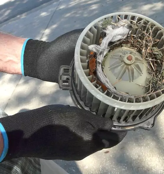 About Air Duct Rat Removal in McKinleyville, CA