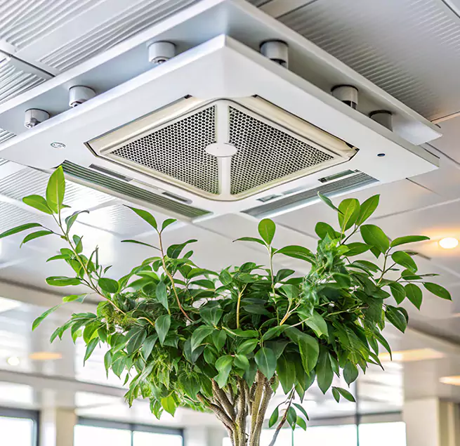 Why Homeowners & Businesses Trust Us in McKinleyville, CA?